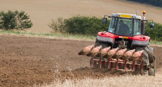 Ploughing oilseed rape stubble